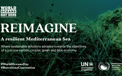 World Ocean Day 2026