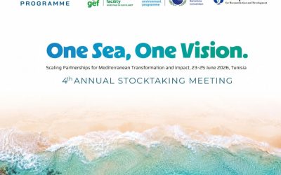 One Sea, One Vision: Scaling Partnerships for Mediterranean Transformation and Impact