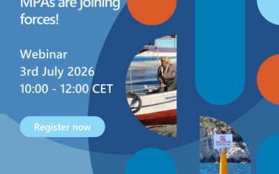 From Assessment to Action: Mediterranean MPAs Are Gearing Up