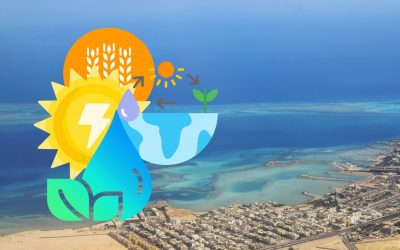 C1_HOR-2: Climate Change adaptation in the Mediterranean coastal area: catalysing financing/the role of the private sector